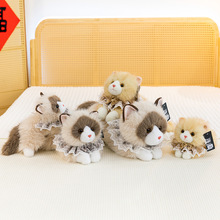 ��ͨ������Ї�����ؔ��ż؈���������ٽz���_؈�����l�����ż