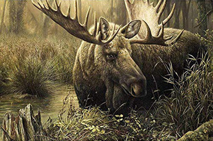 ��ɫɭ���е���¹��׼ӡ��ʮ�ֽ�