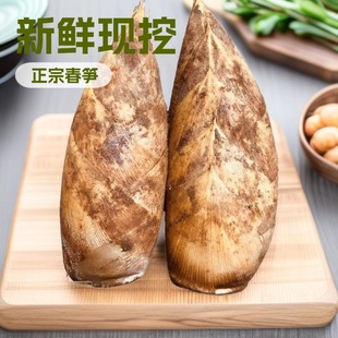 �㽭���S���rë�S���ڬF���r��S�R��������Ұ�����S����ȥ�ϸ�