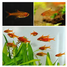 ������~�Ꭷ�^�p�~��ˮȺ���~�ݸ�С�͟����~