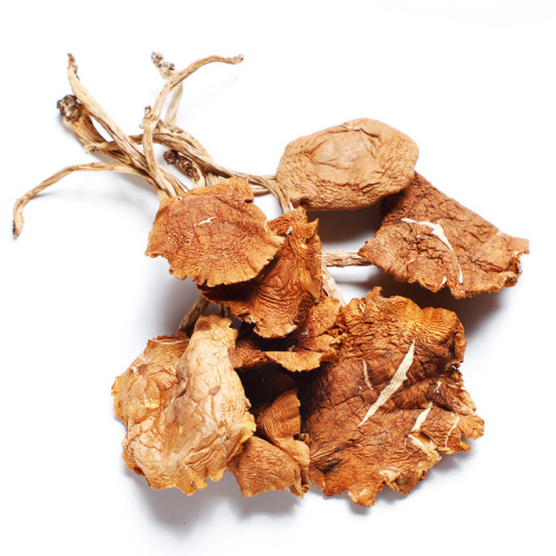 Tea tree mushrooms dry goods mushrooms edible fungi new goods bulk bags wholesale unopened tea tree mushroom bags source factory