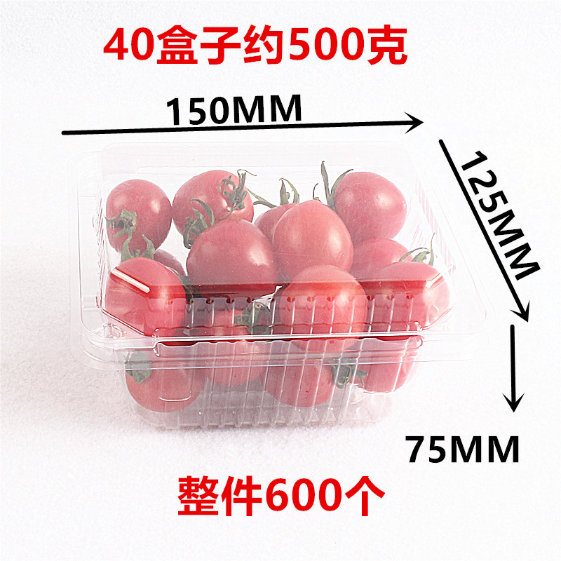 500g 상자 40개 600개