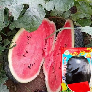 ��Ƥ���ϷN�ӳ��������ļ����N�ش�o��������ˮ���N��