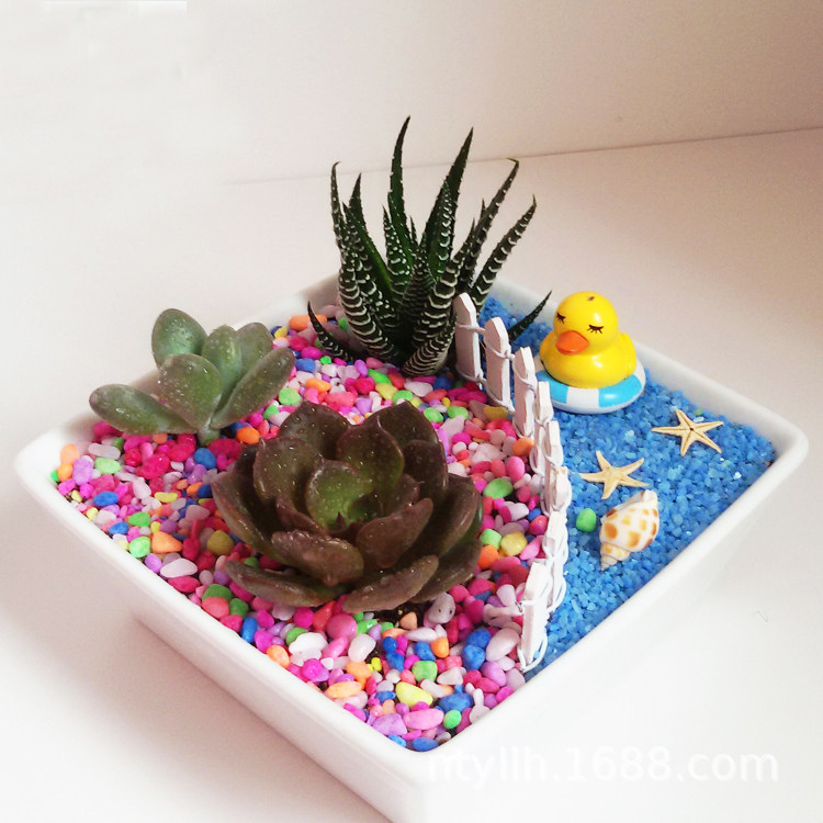 O1CN0167yaSx2IjWsKqWXSK_!!2213