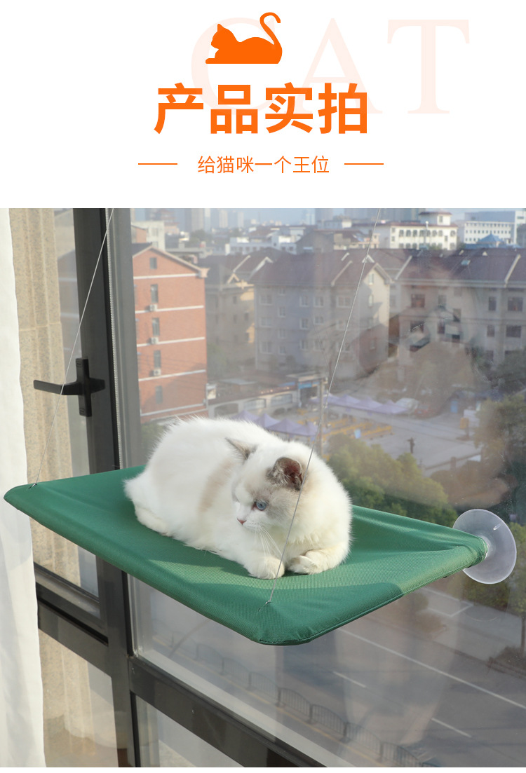 猫吊床_13