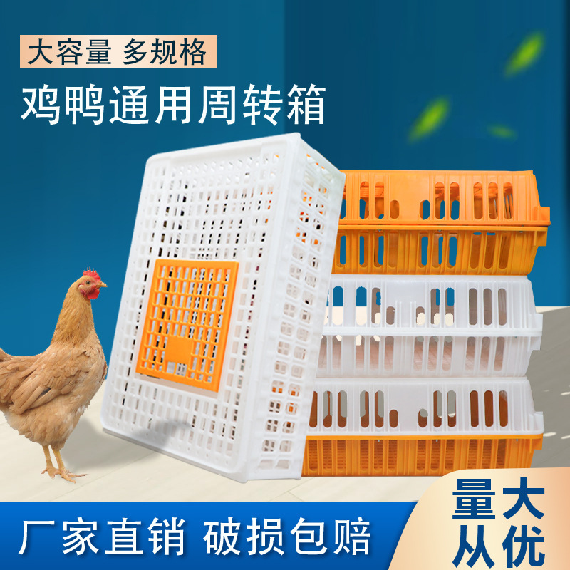 Jaula de transporte de jaulas de pollo Cesta de caja de rotación de aves de corral de plástico en una jaula de pollo, pato, ganso, paloma, jaula de cría de jaula de conejo grande para el hogar