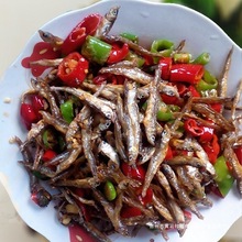 �����خa�ԕ�o�}�~��С�~�ɵ�ˮ�~�ɸ�С���~С�~��С���~��؛��