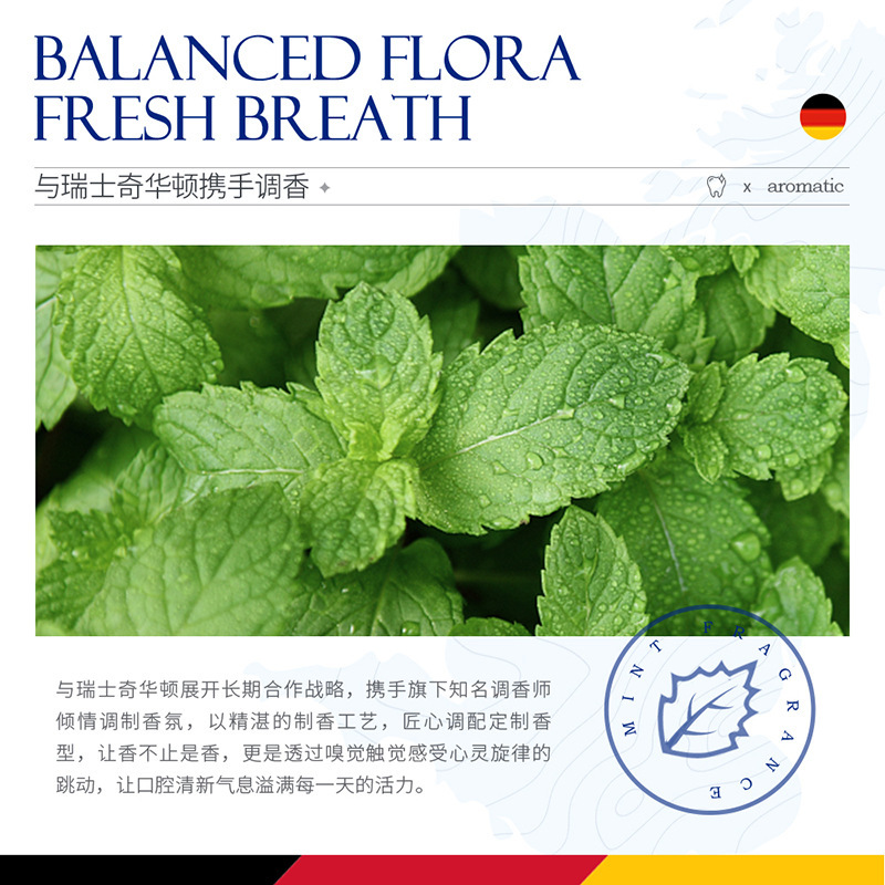 DustStar Probiotic Solid Dental Pasta Limpieza Oral Aliento Refrescante Masticable Portable Enjuague Bucal Pasta Dental image 3