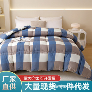 Nantong Home Textile Quilt Winter Quilt Cotton Quilt Thickened Quilt Core Air-conditioning Quilt Student Dormitory Single Spring and Autumn Quilt Warm Four Seasons