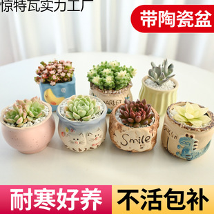 ֲM҃С¶ҵմɻϘ߶Gֲ