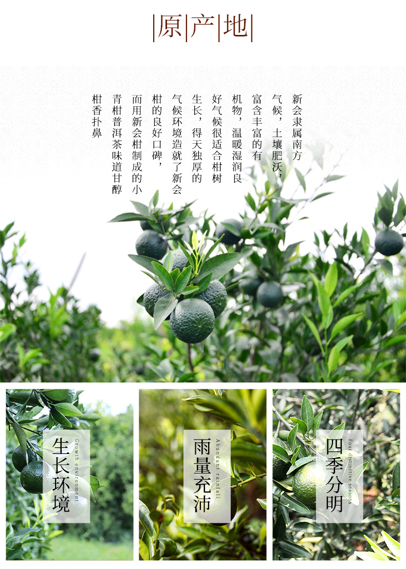 十年陳皮絲詳情_(kāi)05.png