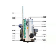 生物质锅炉 混凝土养护电加热蒸汽锅炉生物质颗粒蒸汽导热锅炉