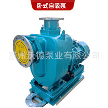 不锈钢卧式自吸泵WDZWP180-14-18.5/4L耐腐蚀污水无堵塞排污水泵