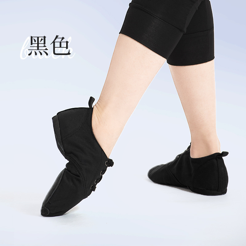 Zapatos de baile jazz zapatos de baile para niños zapatos de práctica de tacón bajo zapatos de baile modernos zapatos de suela suave con cordones para adultos zapatos de baile latino femenino