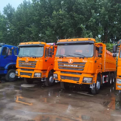 Yük maşınları Delong Eight-Wheel Dump Truck