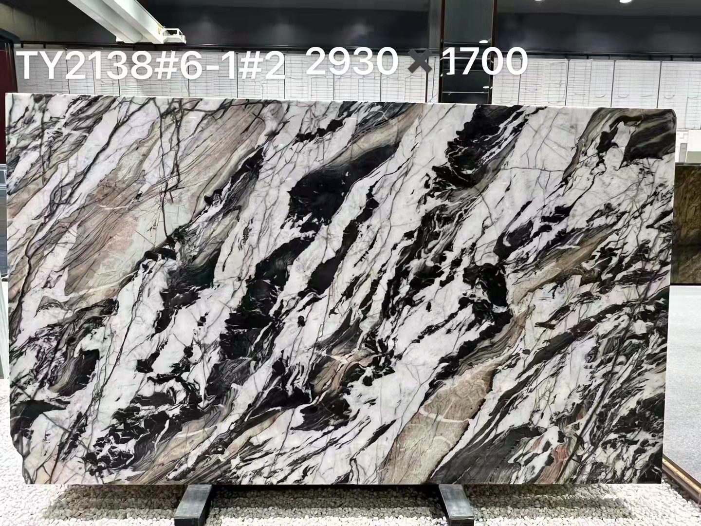 宝格丽黑 (4)
