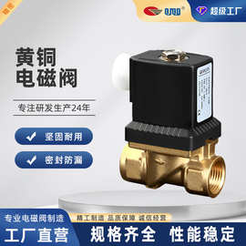 可配防爆线圈黄铜电磁阀膜片式先导式两分到两寸大口径水用电磁阀