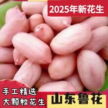 2025年新鲜特大粒花生米去壳生花生米晒干粉红皮长粒花生批发