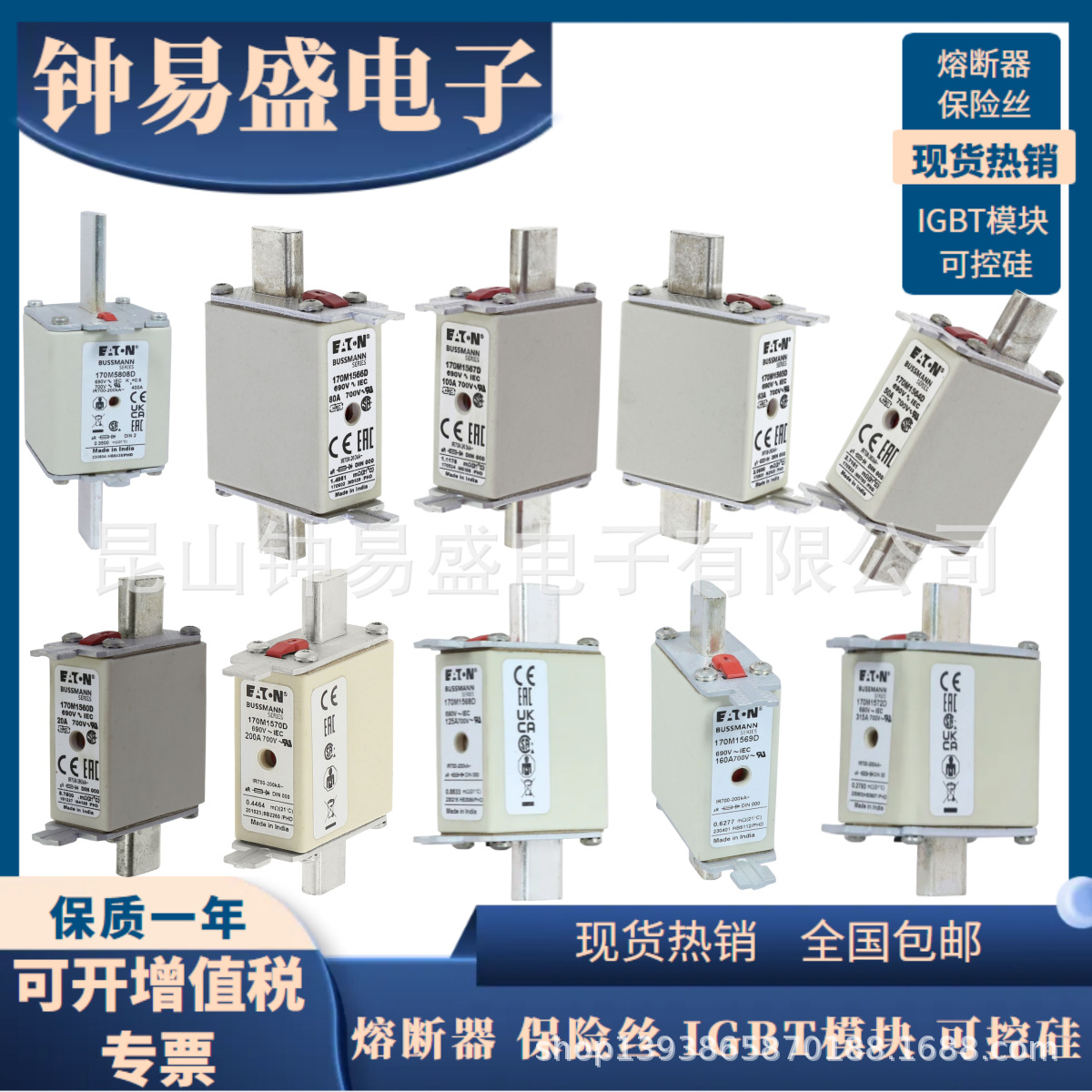 Bussmann熔断器690V 40A    170M1313 170M1363 170M1413全新现货