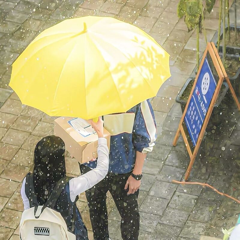 Korean drama Bian You Sikkim Hui Yun double yellow umbrella with good slaughter running retro wind-resistant 16-bone long handle umbrella