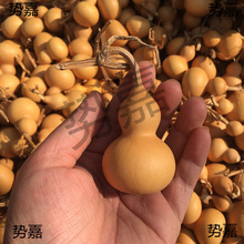 �������J�������J���^��С���J?��������Ȼ�ؔ��������Ȼ���J�o