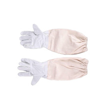 �B�乤��  ����4���� ���B�����B���� ��ɫ���w���������׷����