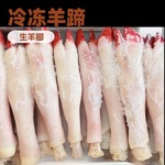 生羊蹄冷冻水退白羊蹄羔羊带筋去毛羊蹄散养农家羊脚摆摊卤煮批发
