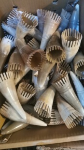Horn comb shampoo comb massage comb scraping comb white horn comb triangle scraping tube does not ask for ear pick comb factory