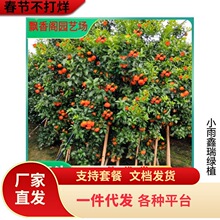 �V���޽�ɰ�ǽ��Ә����҃��������ӹ������ĕ�����ɳ�����ӎ���