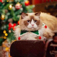 跨境宠物圣诞老人针织围脖猫咪狗狗圣诞毛线手钩项圈围巾服饰饰品