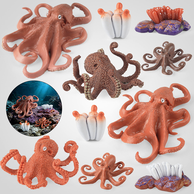 Simulated Aquarium Biological Model Squid Octopus Cuttlefish Octopus Growth Cycle Children's Cognitive Toy Ornament Simulated Aquarium Biological Model Squid Octopus Cuttlefish Octopus Growth Cycle Children's Cognitive Toy Ornament