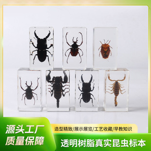 �羳������֬��ˇƷ���xϐ�Ӫ��������x�����ͥ͸���[��С�YƷ