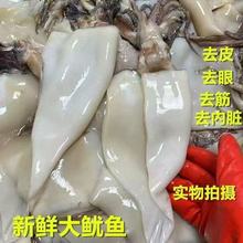 去皮去内脏去软骨三去大鱿鱼新鲜海鱼枪乌贼海鲜烧烤食材铁板包顺