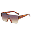 Fashionable sunglasses, trend retro glasses suitable for men and women, wholesale