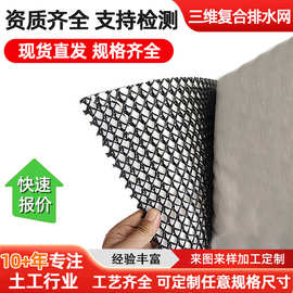 垃圾填埋场过滤用三维复合排水网隧道铁路护坡工程反滤复合排水网