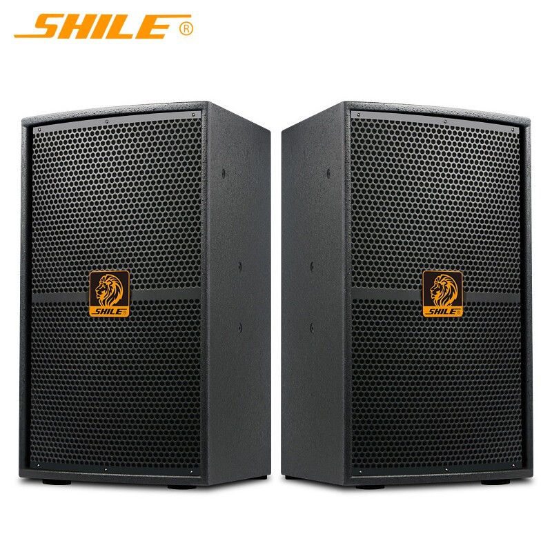 专业音响 狮乐BM-99舞台演出会议培训室全频音箱 家庭KTV卡拉OK箱