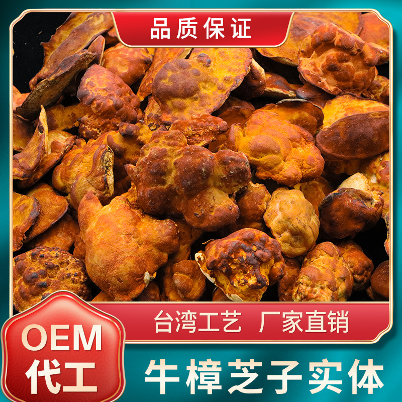 【有报关单】台湾厂家直供 牛樟芝正品 合作私信 FDA证书 招代理