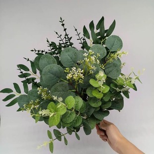 TEMU���u�M�����b����������~�ȼ����~�Ҿ��b�DIY�[�Ż����滨