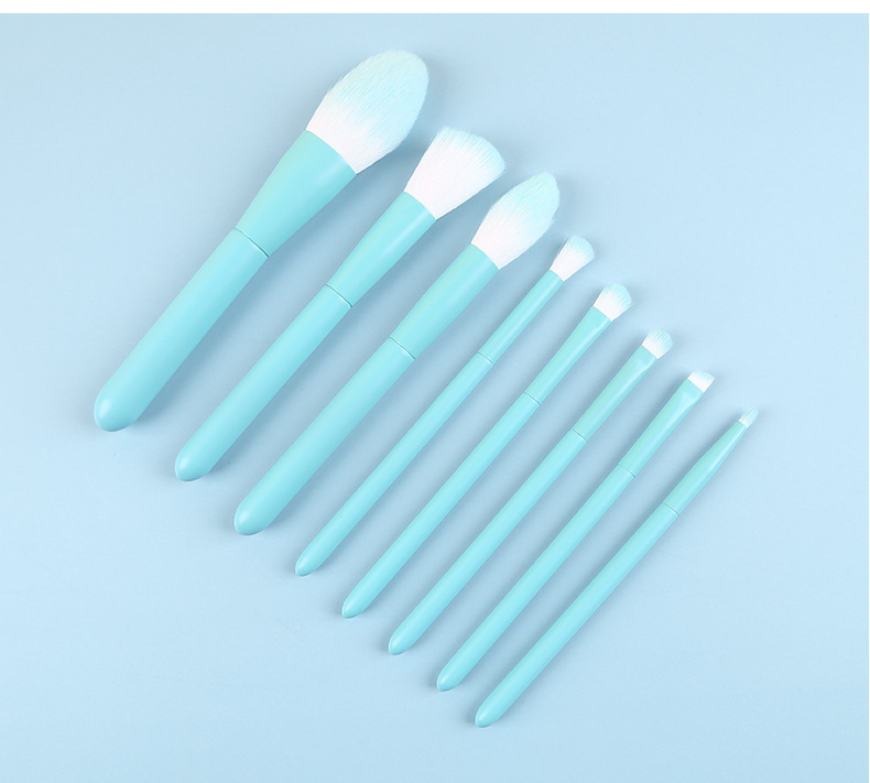 Wholesale Simple Four-color 10 Portable Makeup Brush Set display picture 6