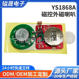 玩具配件;集成电路;电子模块