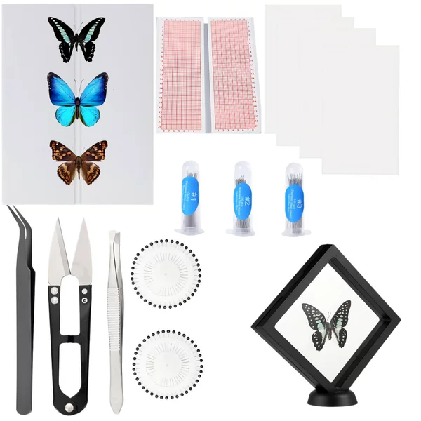Insect Specimen Tool Set Eva Foam Pin Board Coordinate Paper Wing Pressing Paper Insect Needles and Butterfly Needles