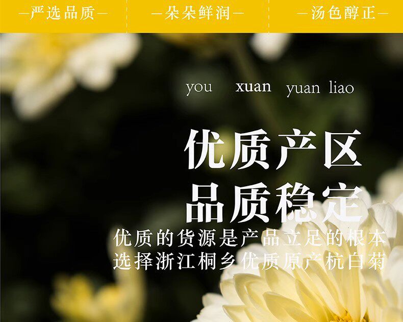 Hang Bai Ju Chrysanthemum Tea 500g Premium Tongxiang White Chrysanthemum Buds for Daily Brewing overview