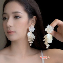 2025�p���䵭�L��⾫�»����ֹ�����|�ٴ��`�ӽ^����߼�