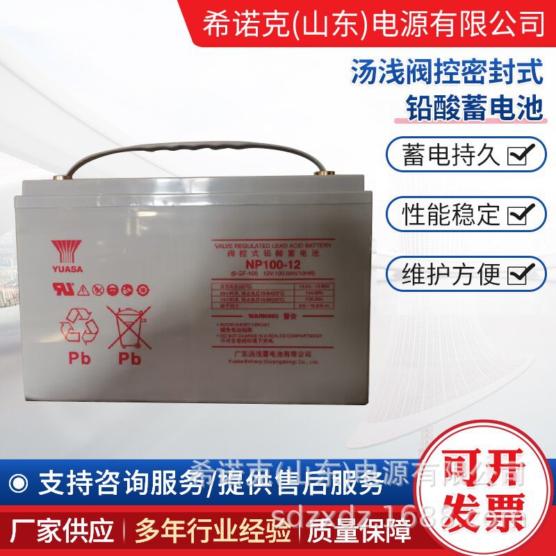 汤浅NP100-12免维护铅酸蓄电池UPS/EPS不间断电源12V100AH电池