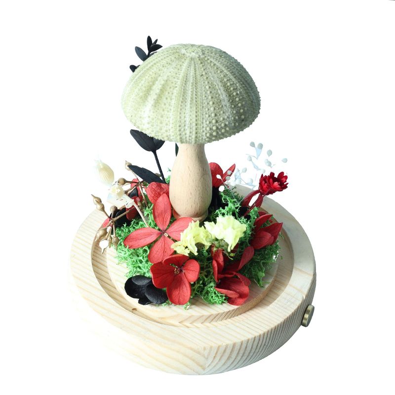 永生花小海胆玻璃罩情人节生日礼物送同学闺蜜女友云南玫瑰玫瑰花|undefined