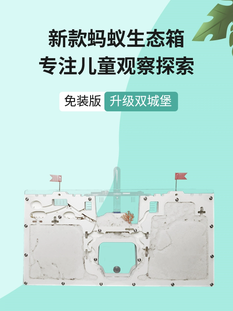 Муравей замок очень большой муравей экологический ящик для отправки муравьев