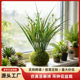 跨境热销仿真苔藓球吊钟花盆栽室内外家居装饰桌面绿植工厂批发