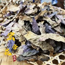 新货天然无硫干荷花荷花瓣 干荷花瓣 干莲花 水芙蓉清香荷花茶