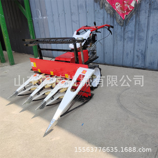 ����ʽ�󶹸�C ���~�Ռ����������ַ���ݙC