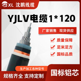 �Xо�߉���|35kv��оyjlv1*120/150/185 �Xо��|���� �S���N��